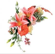 160606-cveće.jpg, 8 KB